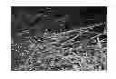 Fig. 01 - 3-mode blended fibers in an engineered cementitious composite