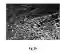 Fig. 03 - 3-mode blended fibers in an engineered cementitious composite