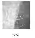 Fig. 05 - 3-mode blended fibers in an engineered cementitious composite
