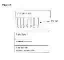 Fig. 02 - Irradiation and molding unit