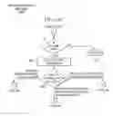 Fig. 29 - APPARATUS, METHOD, AND SYSTEM FOR CARD GAME WITH DIAGRAMMATIC SOLUTIONS FOR PLAY OUTCOMES
