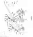 Fig. 17 - Maneuverable strollers