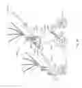 Fig. 23 - Maneuverable strollers