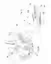 Fig. 19 - BICYCLE ON-BOARD DEVICE AND RELATED SUPPORT AND MOUNTING METHOD