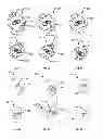 Fig. 06 - Methods, devices, and systems for coupling fluid lines