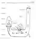 Fig. 01 - Stauffer submerged electricity generator