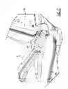 Fig. 11 - Seating system for a recumbent stepper