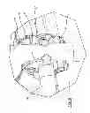 Fig. 12 - Seating system for a recumbent stepper