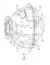 Fig. 11 - Spherical induction motor