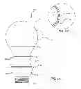 Fig. 02 - PROTECTIVE DIFFUSIVE COATING FOR LED LAMP
