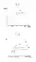 Fig. 02 - Organic light emitting display device and method of driving the same