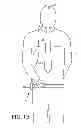 Fig. 03 - Hands-free lighting system