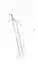 Fig. 02 - Retractable lighting fixture