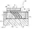 Fig. 01 - Coaxial probe structure of elongated electrical conductors projecting from  a support structure