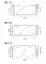 Fig. 26 - Adder