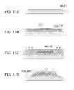 Fig. 09 - COIL WIRING ELEMENT AND METHOD OF MANUFACTURING COIL WIRING ELEMENT
