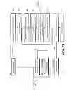 Fig. 13 - METHOD AND SYSTEM FOR PHOSPHOR PLATE IDENTIFICATION IN COMPUTED RADIOGRAPHY