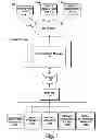 Fig. 09 - USING NONVERBAL COMMUNICATION IN DETERMINING ACTIONS