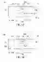 Fig. 05 - INTERACTIVE IMAGE SYSTEM AND OPERATING APPARATUS THEREOF