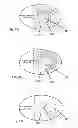 Fig. 15 - Electrode system for proximity detection and hand-held device with electrode system