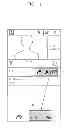Fig. 20 - TERMINAL TO SET A TOUCH LOCK LAYER, AND METHOD THEREOF
