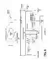 Fig. 11 - Backlight and ambient light sensor system