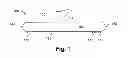 Fig. 02 - Multi-transducer waveguide arrays