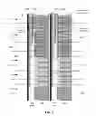 Fig. 07 - Tail effect correction for SLIM pattern touch panels