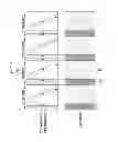 Fig. 06 - Pixel, display device comprising the pixel and driving method of the display device