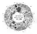 Fig. 01 - Data visualization methods