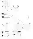Fig. 07 - Controlling animated character expression