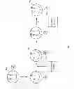 Fig. 08 - Controlling animated character expression