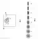 Fig. 06 - Multilayer control of gobo shape
