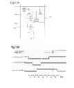 Fig. 23 - Semiconductor device and driving method thereof