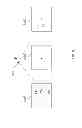 Fig. 07 - Estimation of panoramic camera orientation relative to a vehicle coordinate frame