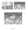 Fig. 09 - CAMERA REGISTRATION AND VIDEO INTEGRATION IN 3D GEOMETRY MODEL