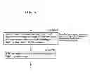 Fig. 09 - Information communication device for obtaining information from image data by demodulating a bright line pattern appearing in the image data