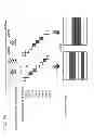 Fig. 79 - Information communication device for obtaining information from image data by demodulating a bright line pattern appearing in the image data
