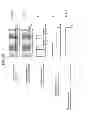 Fig. 89 - Information communication device for obtaining information from image data by demodulating a bright line pattern appearing in the image data