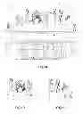 Fig. 02 - MEDIA STREAMS SYNCHRONIZATION
