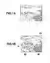 Fig. 02 - Image capture apparatus that can determine appropriate focus position, image capture method, and storage medium