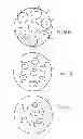 Fig. 06 - Methods and apparatus for using multiple optical chains in parallel to support separate color-capture
