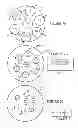 Fig. 11 - Methods and apparatus for using multiple optical chains in parallel with multiple different exposure times