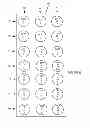 Fig. 12 - Methods and apparatus for using multiple optical chains in parallel with multiple different exposure times
