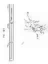 Fig. 137 - Information communication device for obtaining information from a subject by demodulating a bright line pattern included in an obtained image