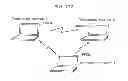 Fig. 174 - Information communication device for obtaining information from a subject by demodulating a bright line pattern included in an obtained image