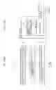 Fig. 337 - Information communication device for obtaining information from a subject by demodulating a bright line pattern included in an obtained image