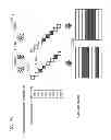Fig. 79 - Information communication device for obtaining information from a subject by demodulating a bright line pattern included in an obtained image