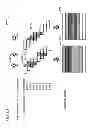 Fig. 81 - Information communication device for obtaining information from a subject by demodulating a bright line pattern included in an obtained image