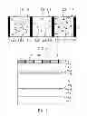 Fig. 03 - Patterned color conversion film and display device using the same
